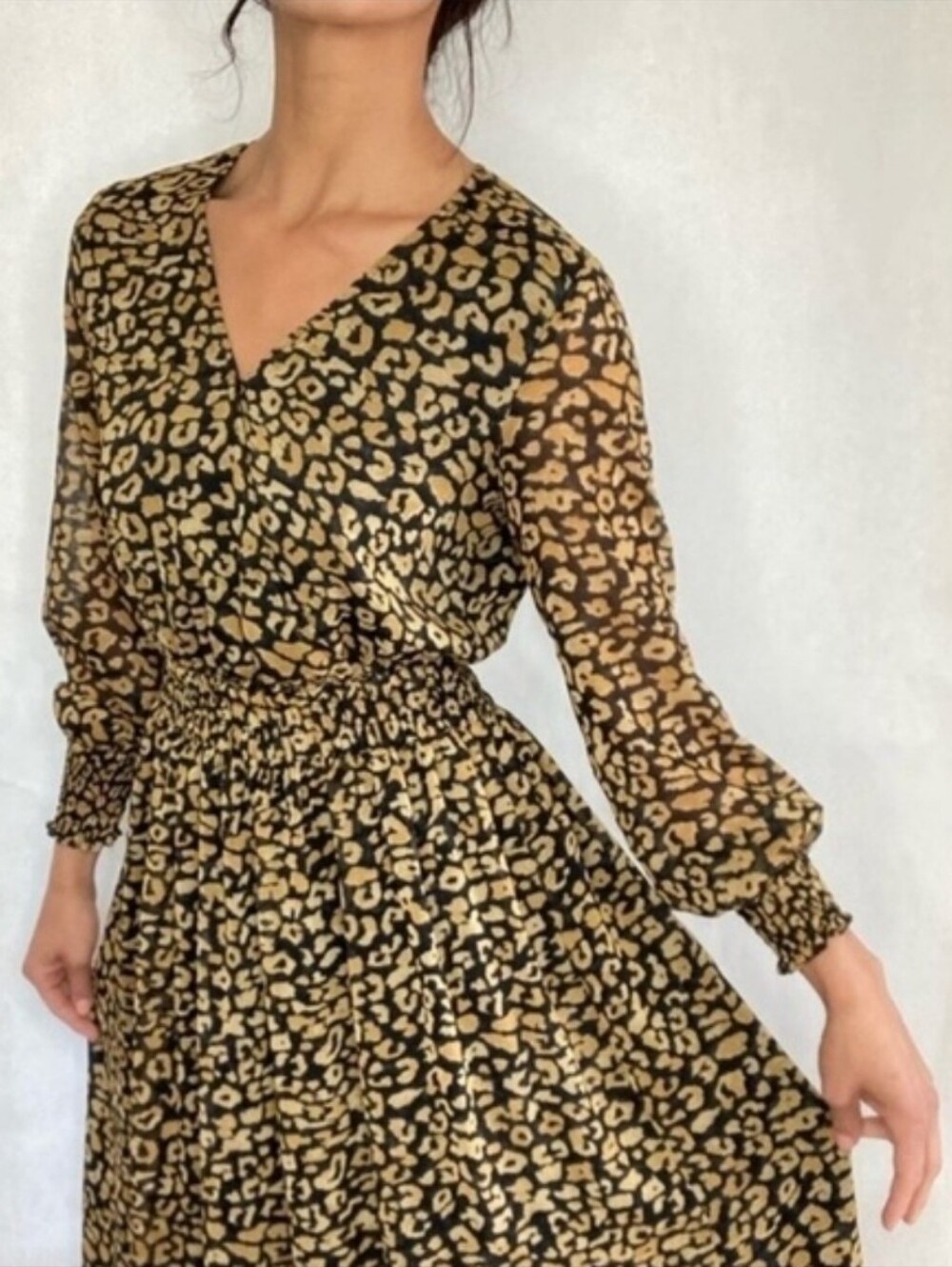 Who What Wear Animal Print Long Sleeve Dress